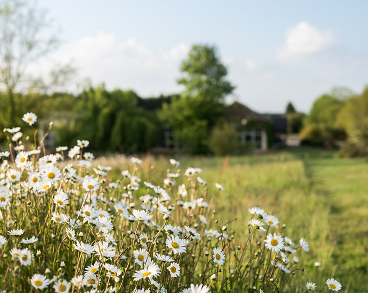 Ein Ausflug in die Natur
