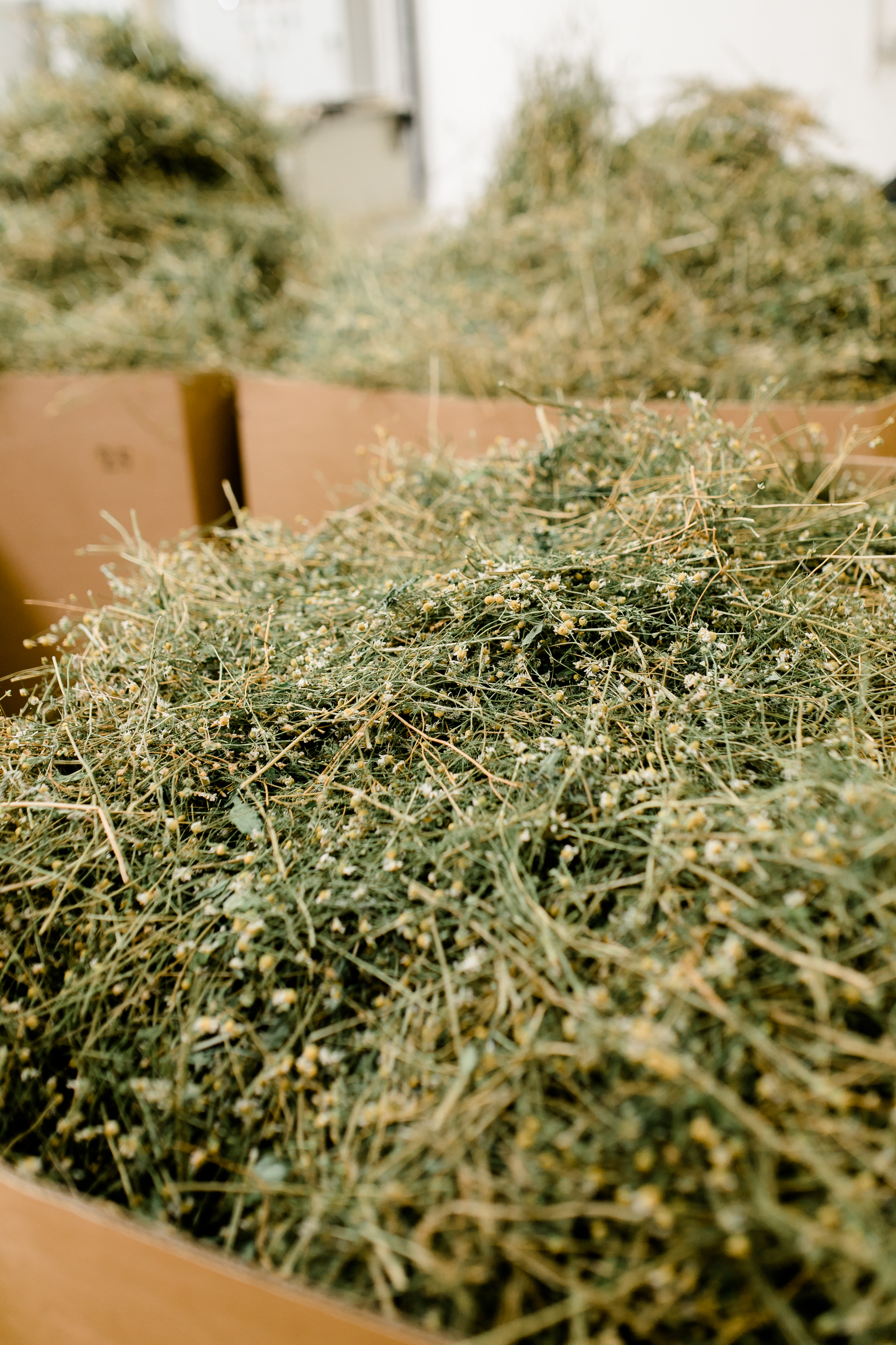 Herbarium La Gacilly sowimage