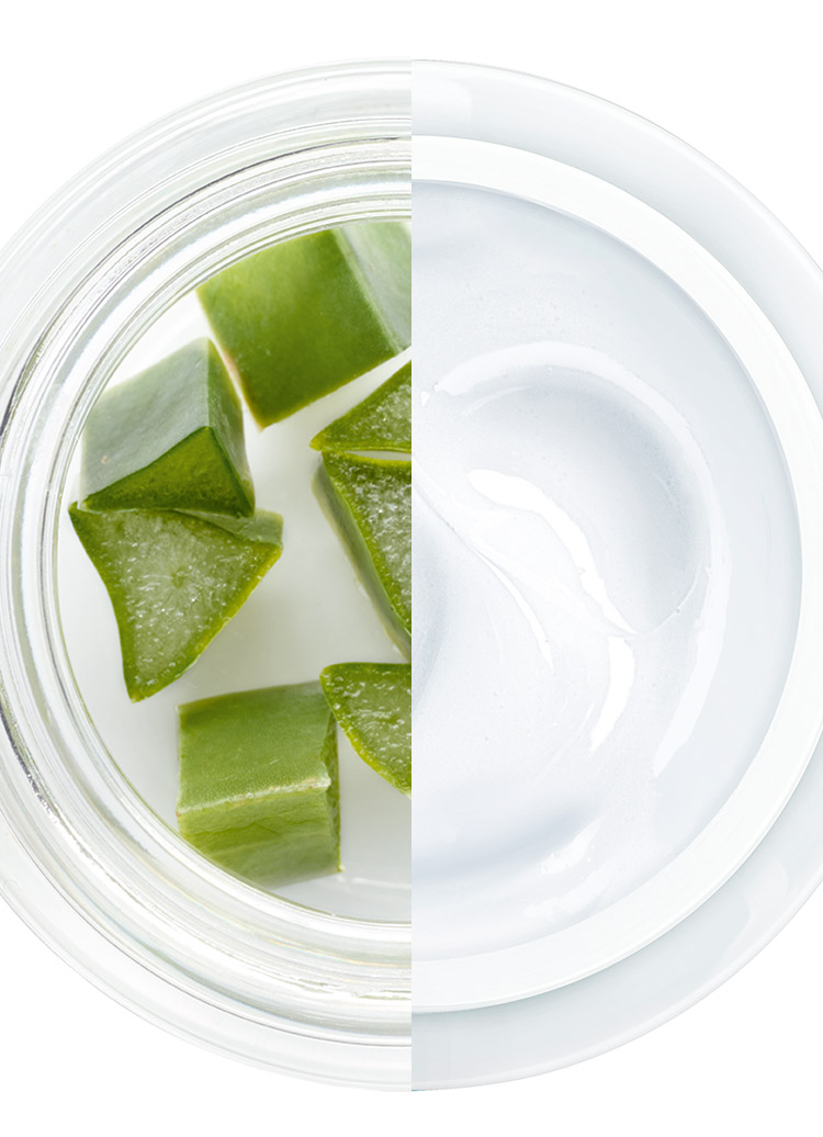 Feuchtigkeit Non-Stop 48H – Wie ist das möglich?