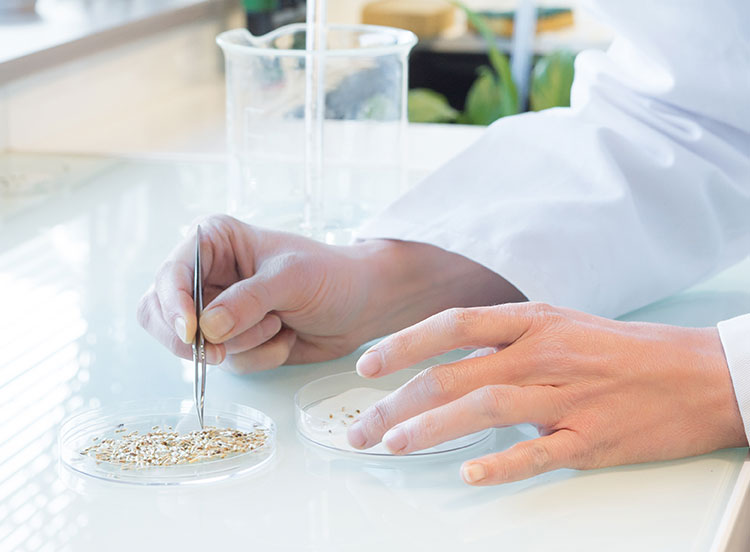 1806_biodégradable_image2_750x552 sowimage