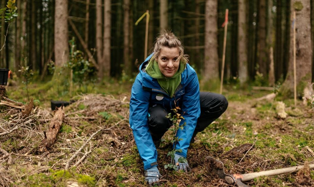 Bäume werden gepflanzt sowimage
