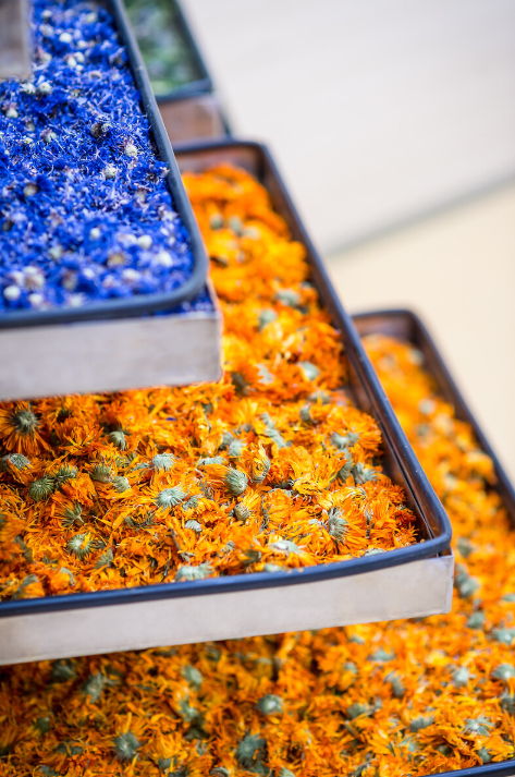 Unsere Blütenwasser-Herstellung in La Gacilly