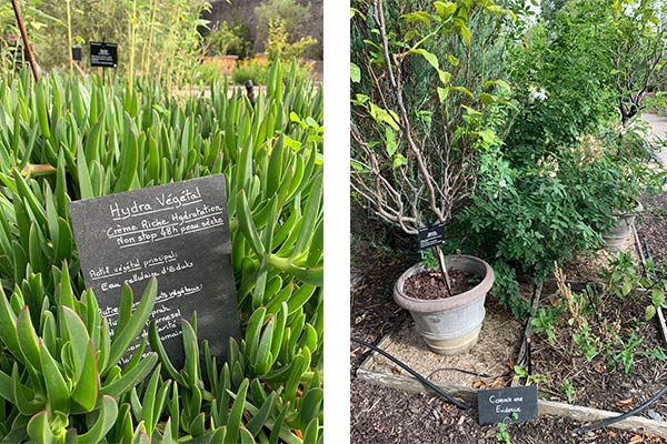 Elena Carriere in La Gacilly: Botanischer Garten sowimage