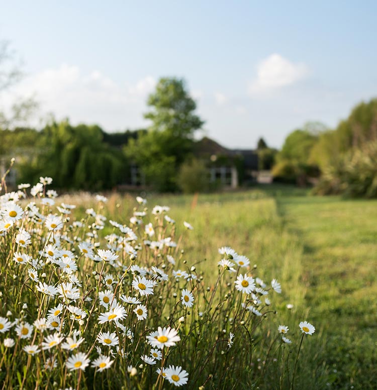 Alles over biologische afbreekbaarheid