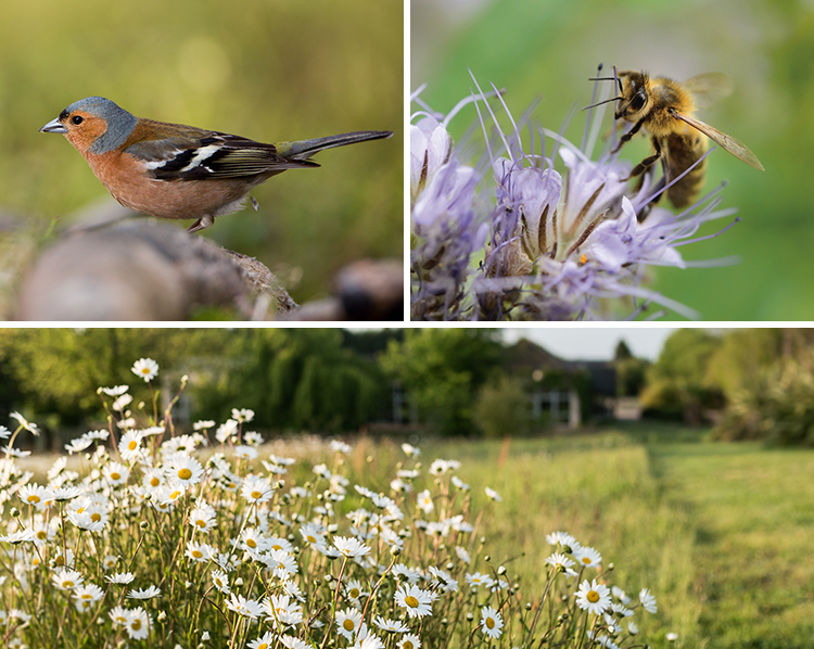 Landbouw met positieve ecologische voetafdruk!