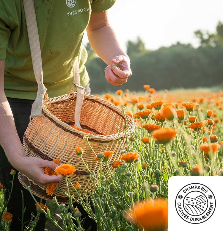 Landbouw met een positieve ecologische voetafdruk