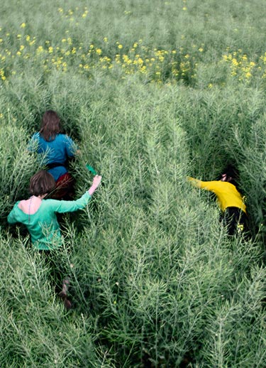 Bienvenue sur votre espace Act Beautiful