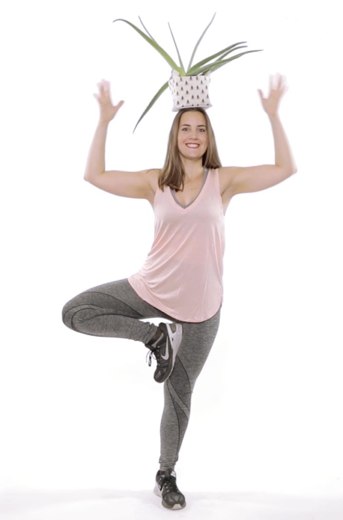 Renforcement muscul-vert