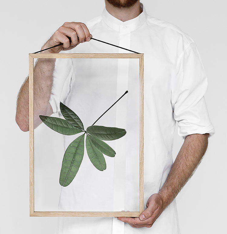 Le retour de l’herbier