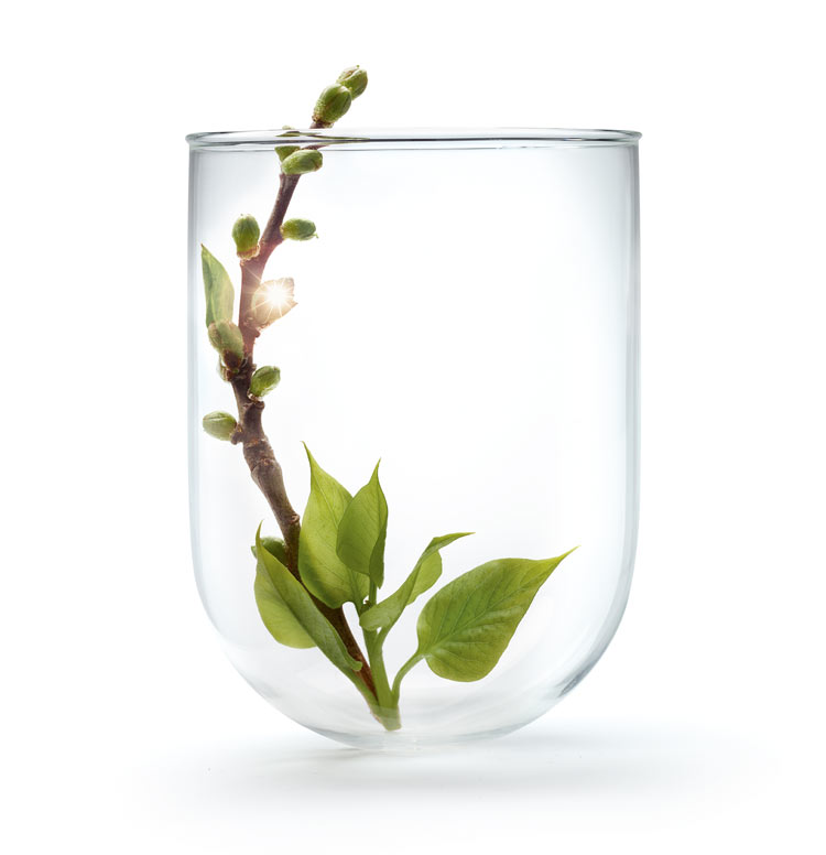 Recette secrète : la Crème Correctrice Sublimatrice