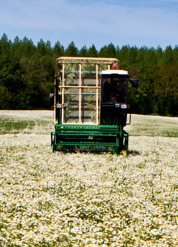 Le printemps à La Gacilly