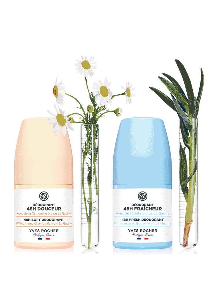 C’est la rentrée, faites le plein de nouveautés !