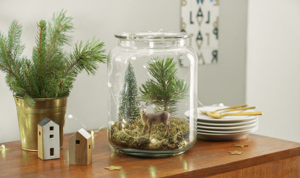 Terrarium