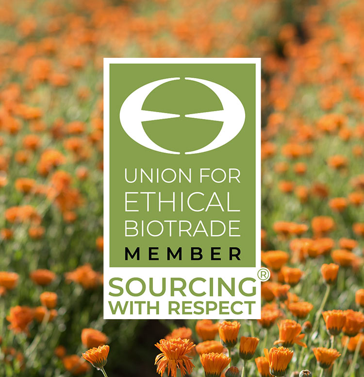 Nos plantes emblématiques sont certifiées UEBT !