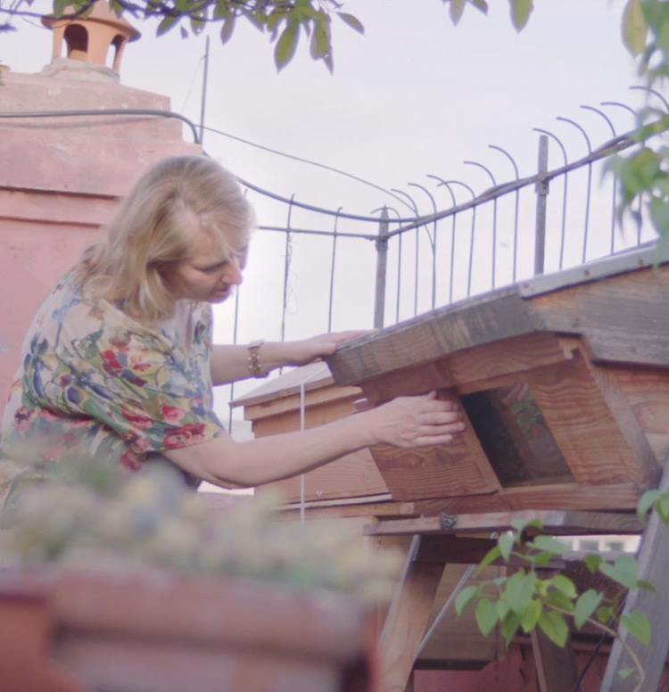 Diane and her Beehives