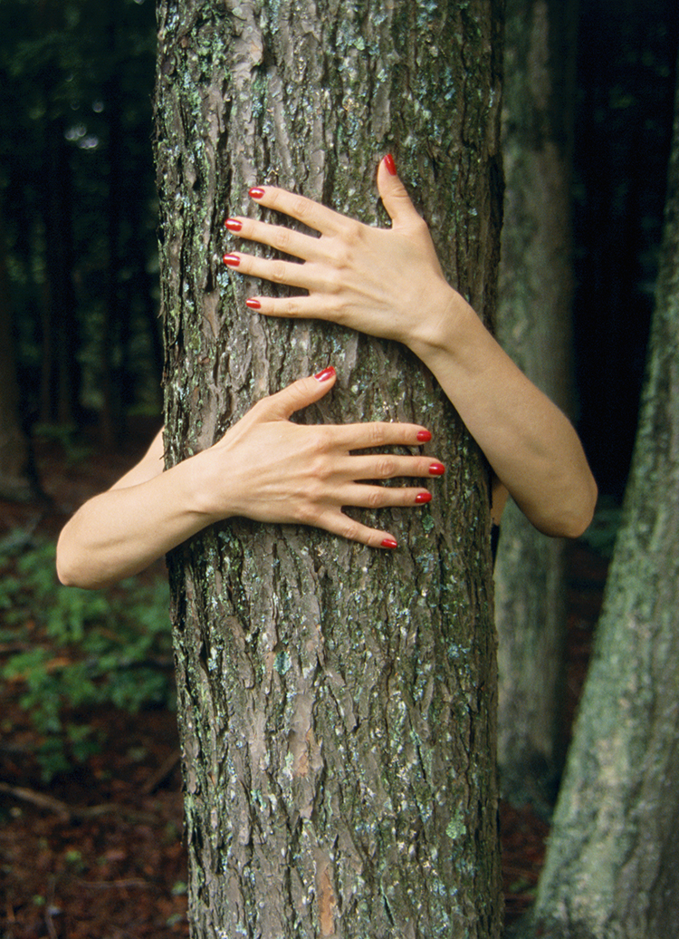 Wishing Trees
