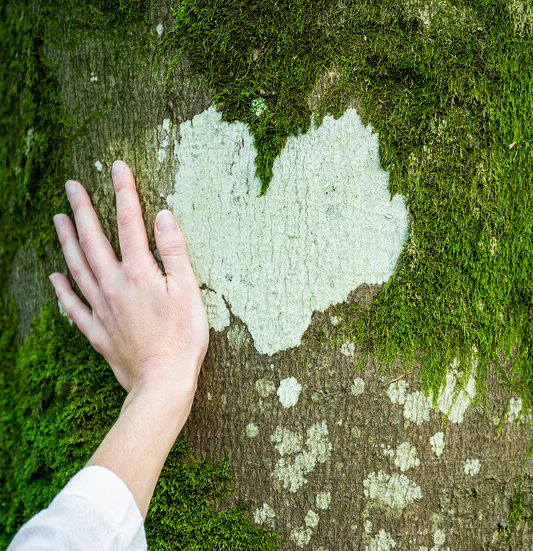 100 million Trees Planted!
