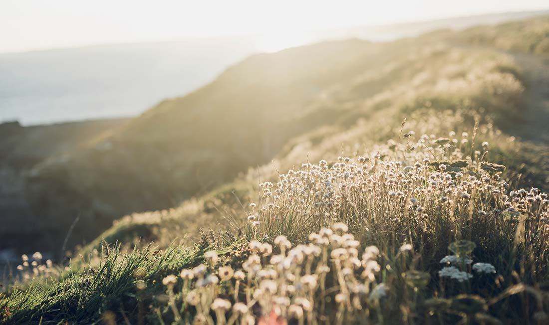 Entreprise à Mission sowimage