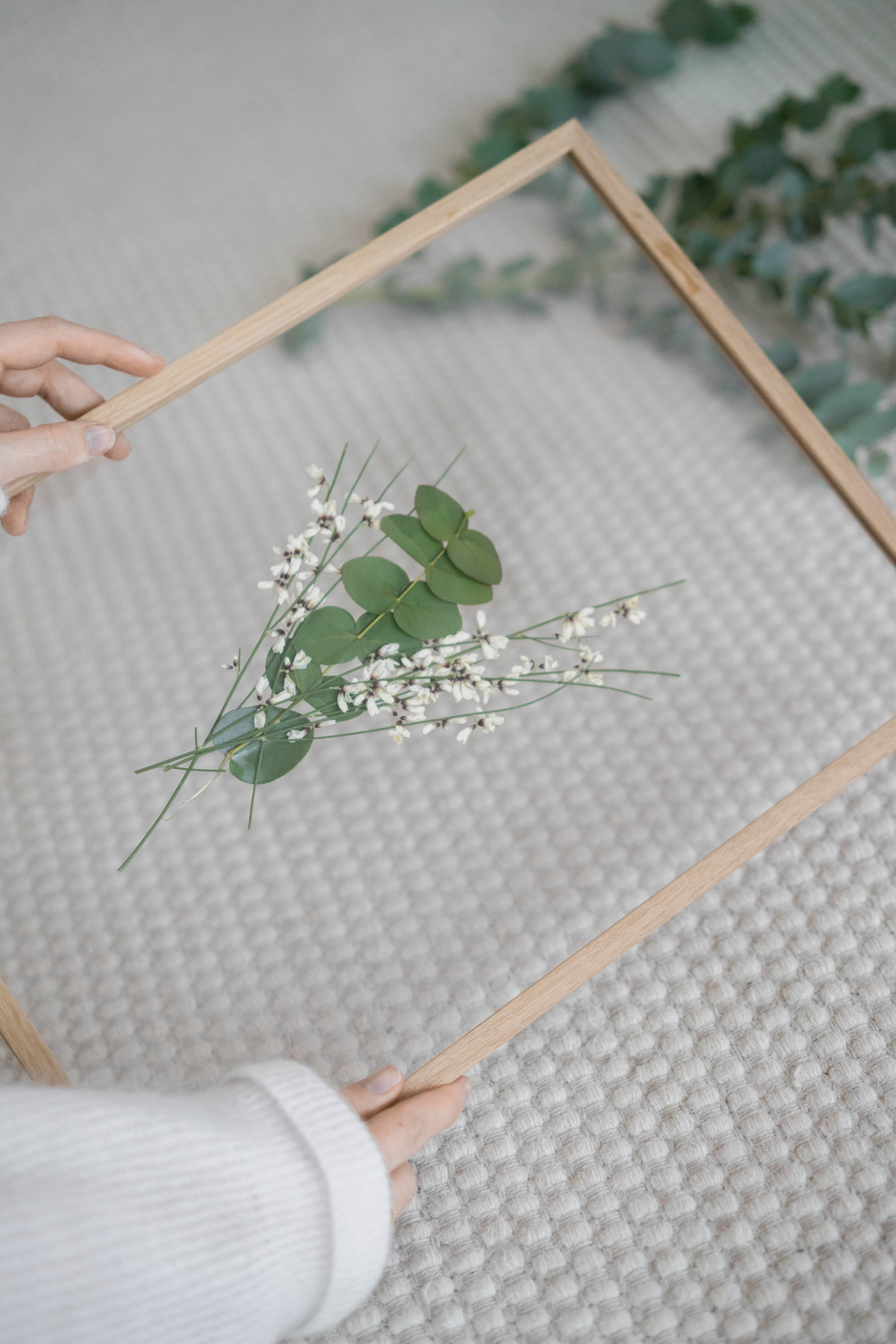 Ein individuelles Herbarium sowimage