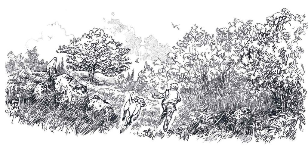 Die bretonische Heimat