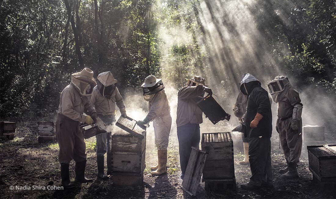 Foto-Festival von La Gacilly 2020 sowimage