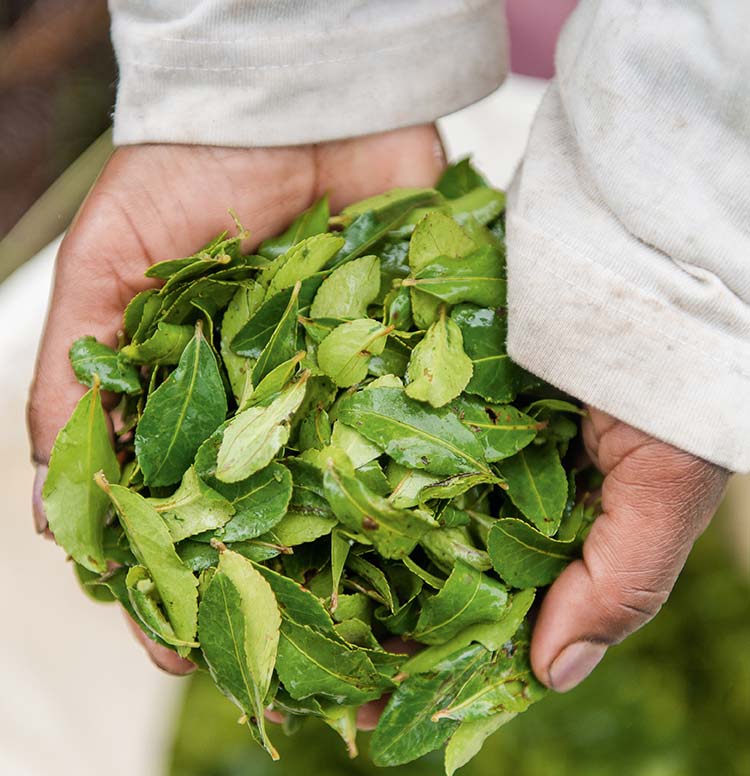 Et år fuldt af skønne aktiviteter!