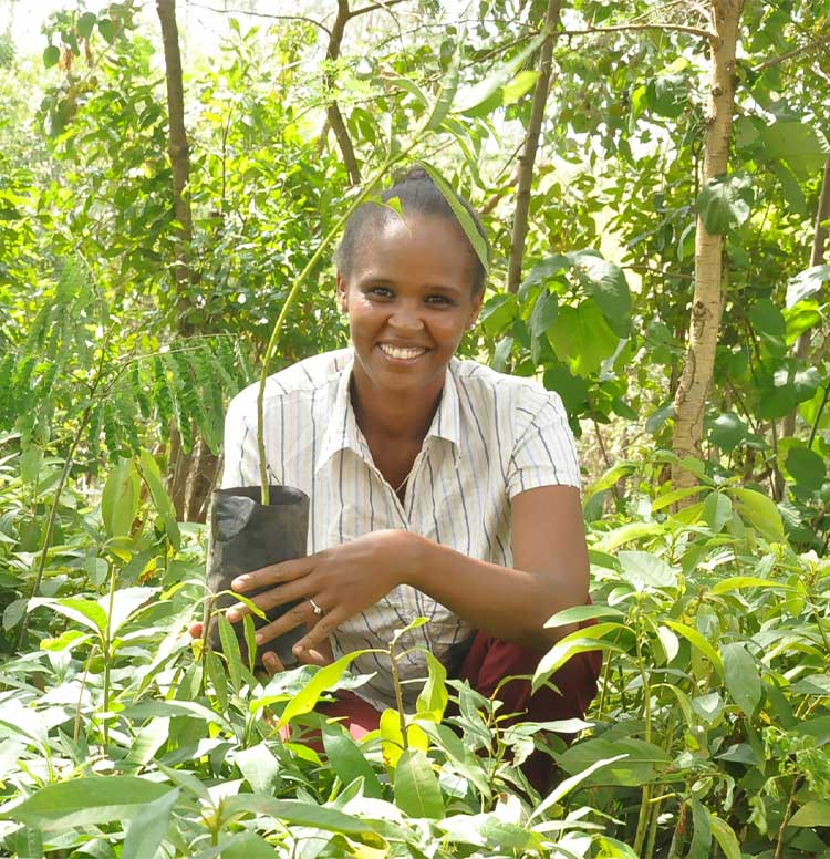 Terre de Femmes International Award 2021