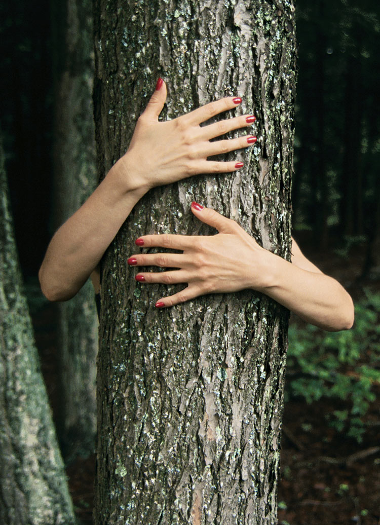 Plantemos por el planeta