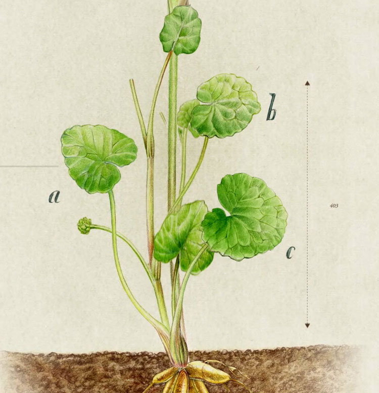 Devolver a la naturaleza todo aquello que nos ofrece
