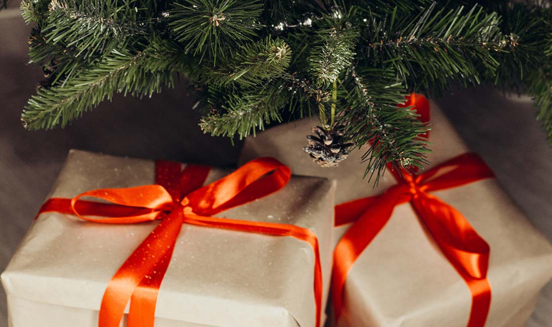 Descubre nuestras Ideas para Regalar