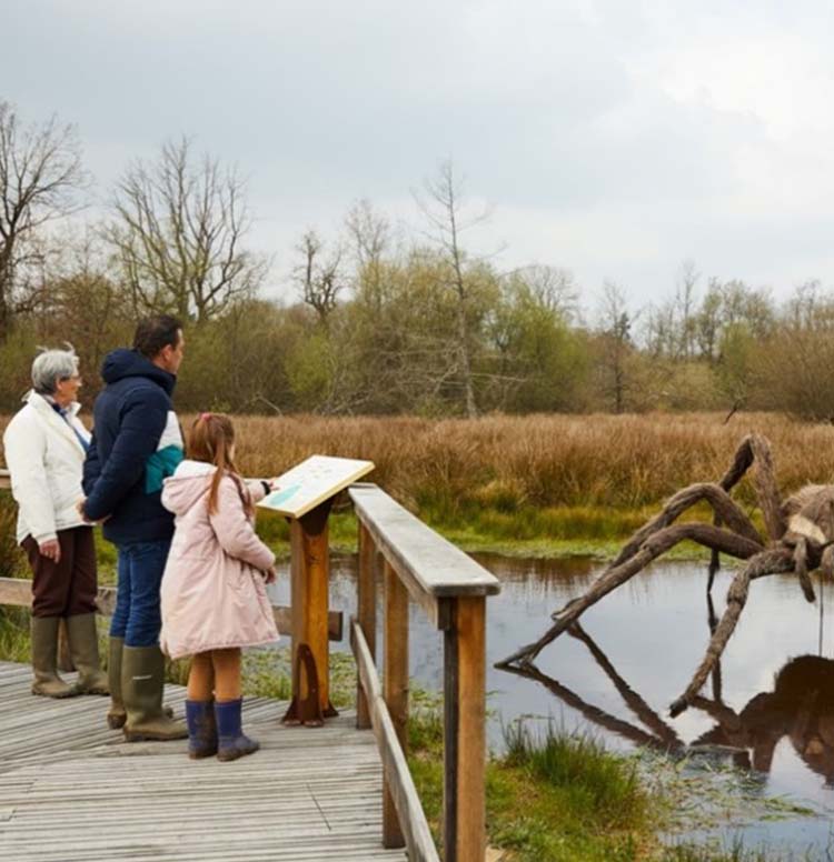 El Observatorio de la belleza de la naturaleza