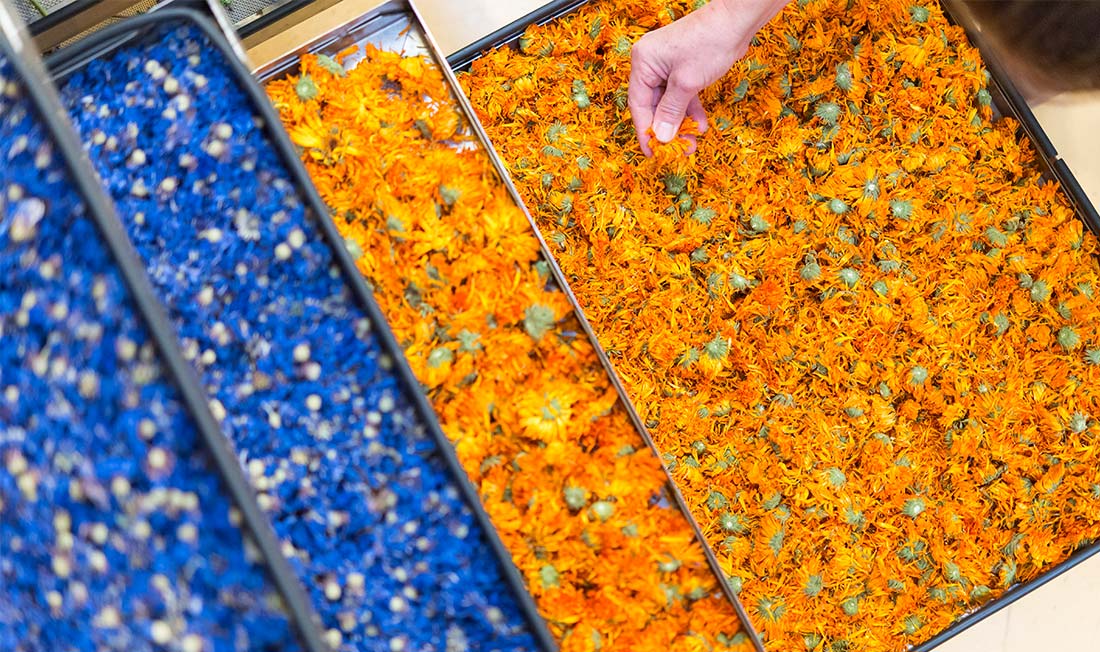 Весна в Ля Гасийи