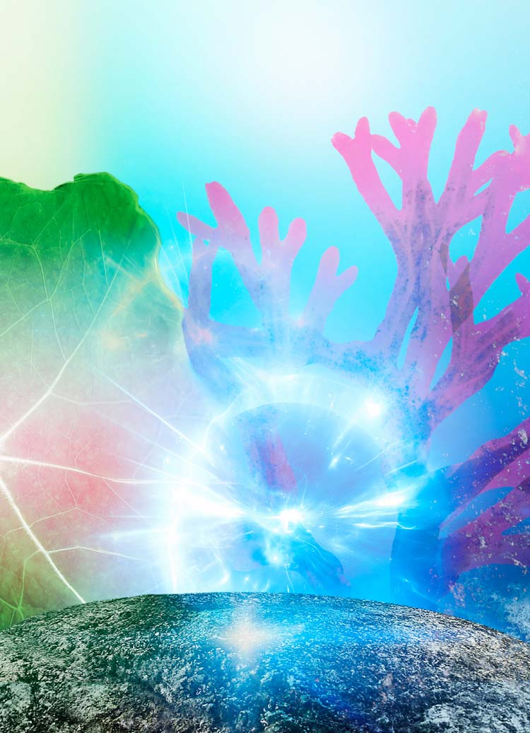 Новый уход для лица Elixir Botanique