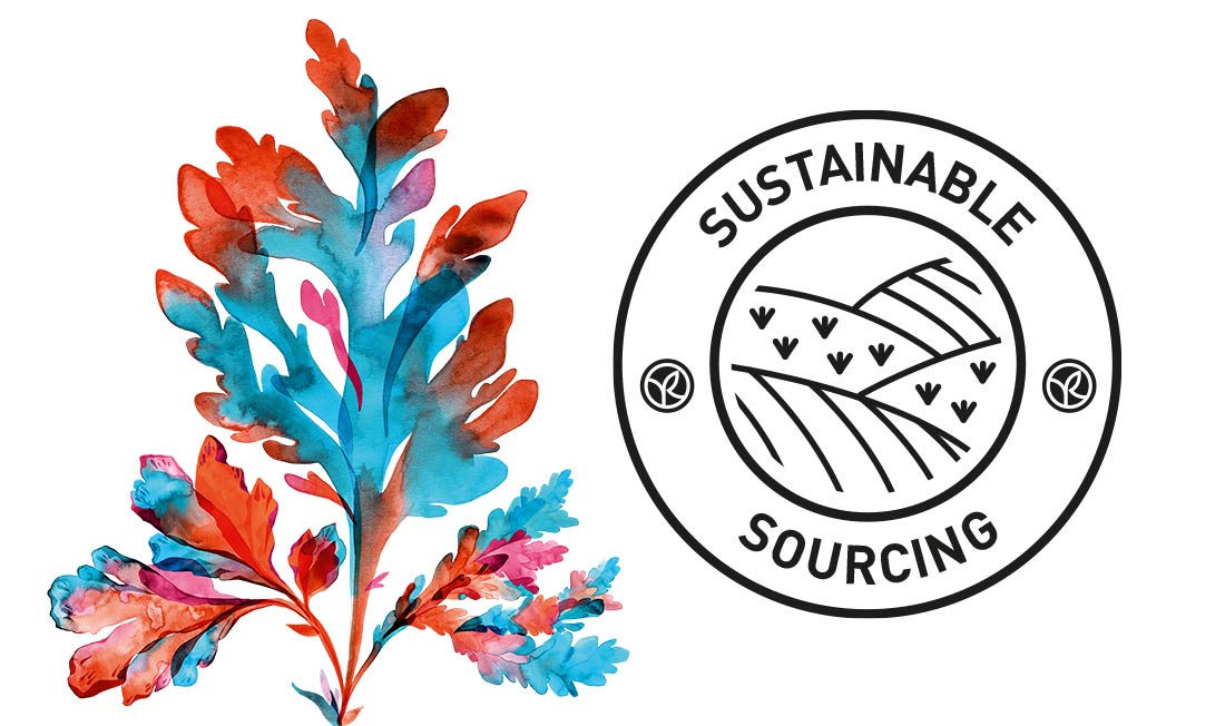 Fiche_Plante_LaMicroAlgue _YR-671392+_YR-643360_1100x652 Sustainable Sourcing
